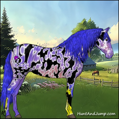 Horse Color:ERROR: UNKNOWN ANOMALY