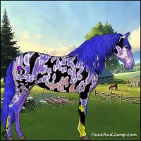 Horse Color:ERROR: UNKNOWN ANOMALY
