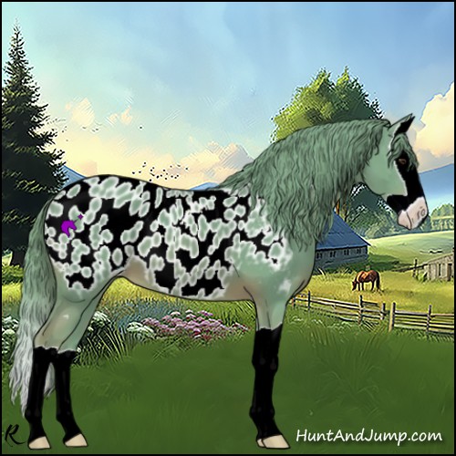 Horse Color:Watercolor Chestnut Splash Appaloosa 