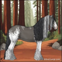 Horse Color:White Spotted Grullo 