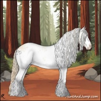 Horse Color:White Spotted Perlino 