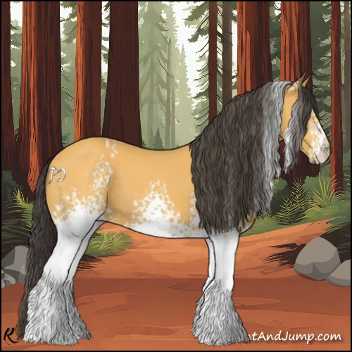 Horse Color:White Spotted Buckskin 