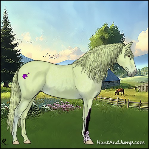 Horse Color:Watercolor Chestnut