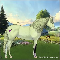 Horse Color:Watercolor Chestnut 