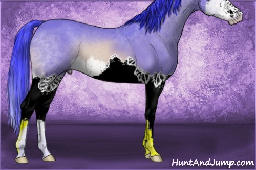 Horse Color:Watercolor Bay Splash