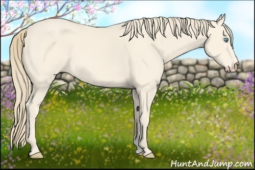 Horse Color:Perlino 