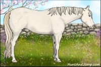 Horse Color:Perlino 