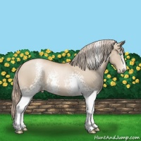 Horse Color:White Spotted Chocolate Palomino Pearl 