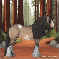 Horse Color:White Spotted Bay Dun