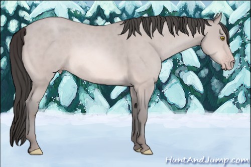 Horse Color:Platinum Amber Champagne
