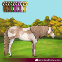 Horse Color:Buckskin Pearl Dun Brindle  and White Spotted Liver Chestnut Pearl Sabino Frame 