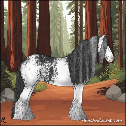 Horse Color:White Spotted Black 