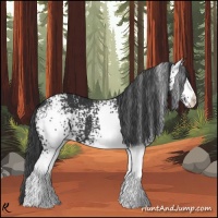 Horse Color:White Spotted Black 