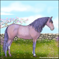 Horse Color:Watercolor Brown Pearl 