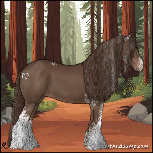 Horse Color:White Spotted Liver Chestnut 