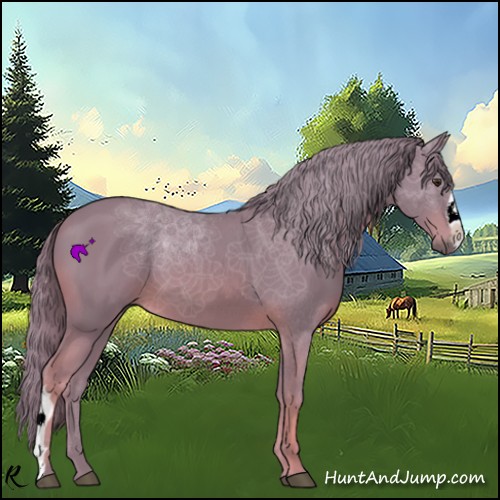 Horse Color:Watercolor Chestnut 