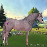 Horse Color:Watercolor Chestnut