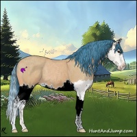 Horse Color:Watercolor Buckskin Splash 