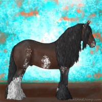 Horse Color:White Spotted Brown 