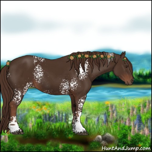 Horse Color:White Spotted Liver Chestnut Rabicano 