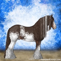 Horse Color:White Spotted Liver Chestnut 