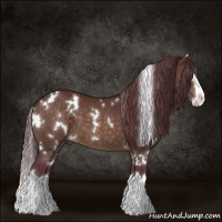 Horse Color:White Spotted Chocolate Bay Splash 
