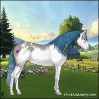 Horse Color:Watercolor Bay Splash Frame Appaloosa