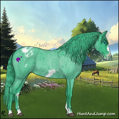 Horse Color:Watercolor Blue Roan Frame Appaloosa Rabicano