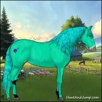 Horse Color:Palomino 