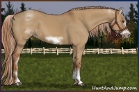 Horse Color:White Spotted Red Dun Sabino Frame