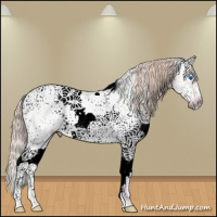 Horse Color:Watercolor White Spotted Red Dun Splash Frame 