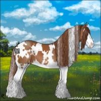 Horse Color:White Spotted Chestnut Splash 
