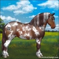 Horse Color:White Spotted Chocolate Brown 