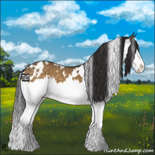 Horse Color:White Spotted Buckskin Dun Splash