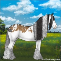 Horse Color:White Spotted Buckskin Dun Splash 