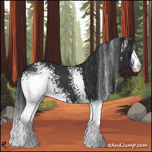 Horse Color:White Spotted Black