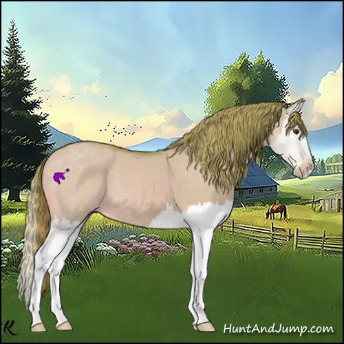Horse Color:Watercolor Red Dun Splash
