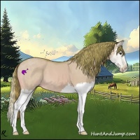 Horse Color:Watercolor Red Dun Splash