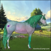 Horse Color:Watercolor Brown Dun 
