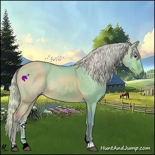 Horse Color:Watercolor Silver Brown Dun 