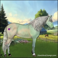 Horse Color:Watercolor Silver Brown Dun 