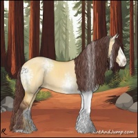 Horse Color:White Spotted Chocolate Buckskin Dun 