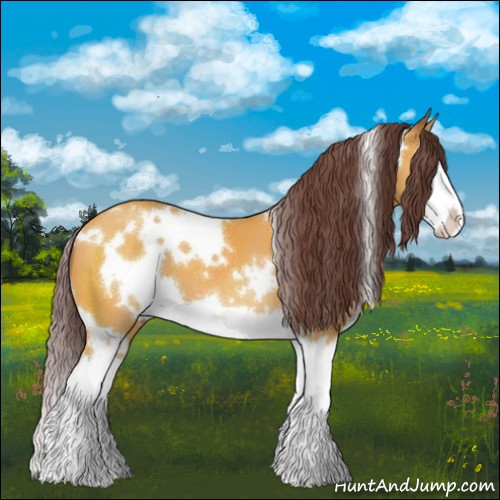 Horse Color:White Spotted Chocolate Buckskin Splash 