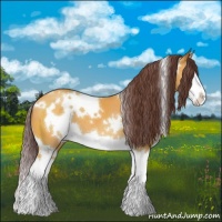 Horse Color:White Spotted Chocolate Buckskin Splash 