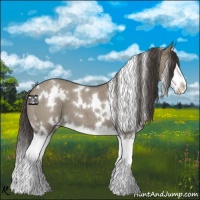 Horse Color:White Spotted Smoky Grullo Roan Splash 