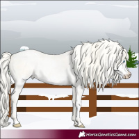 Horse Color:Palomino Roan Pearl Dun Splash  and Gold Cream Champagne Roan Pearl Dun 