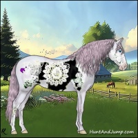 Horse Color:Watercolor Gold Champagne Dun Frame 