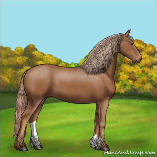 Horse Color:Chestnut 