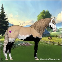 Horse Color:Watercolor Chestnut Splash 