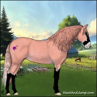 Horse Color:Watercolor Red Roan Splash 
